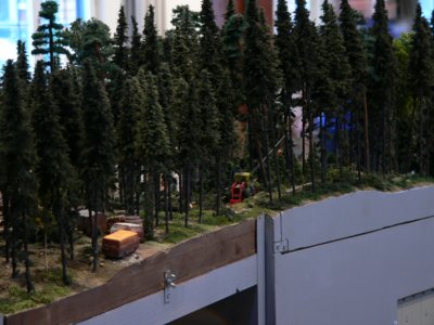 Dem Holz auf der Spur