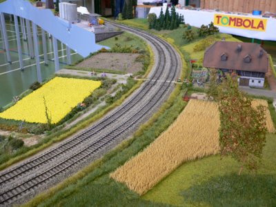 Eisenbahnfreunde Tuttlingen e.V.