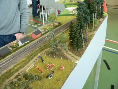 Eisenbahnfreunde Tuttlingen e.V.