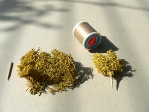 Eigenbau von Bschen und Strucher