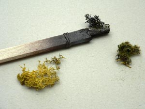 Eigenbau von Bschen und Strucher