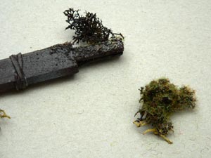 Eigenbau von Bschen und Strucher