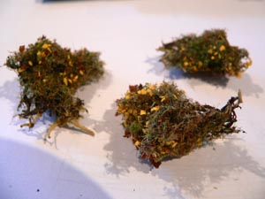 Eigenbau von Bschen und Strucher