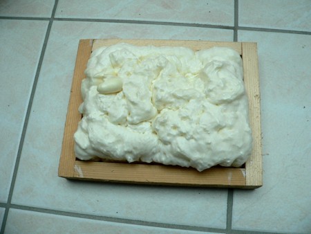 Woodland/Noch Gipsform